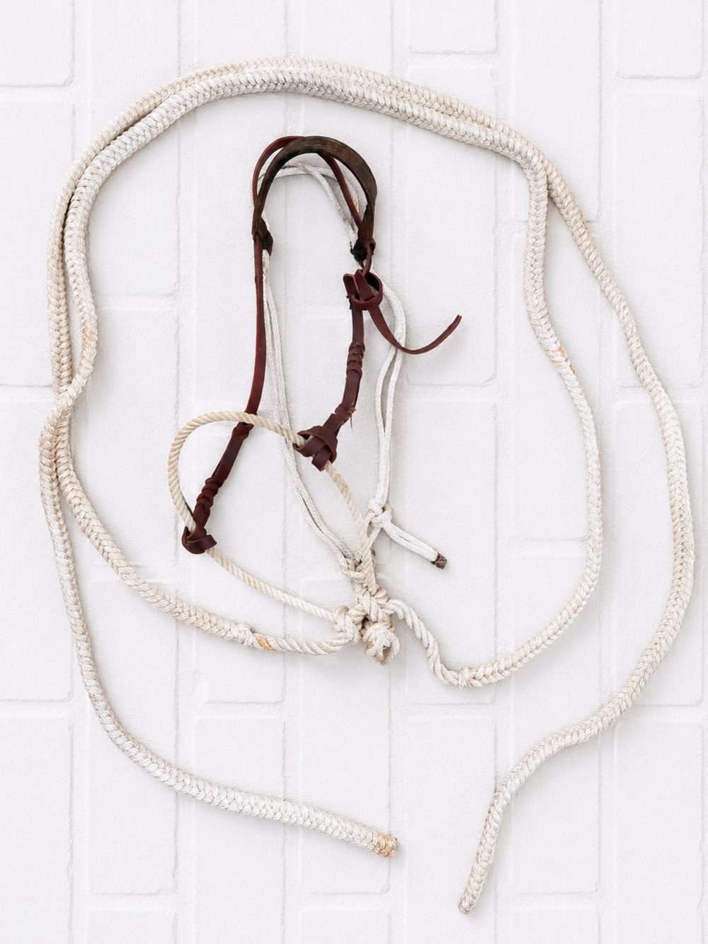Loping Hackamore - Bosal - Picture 4 of 4